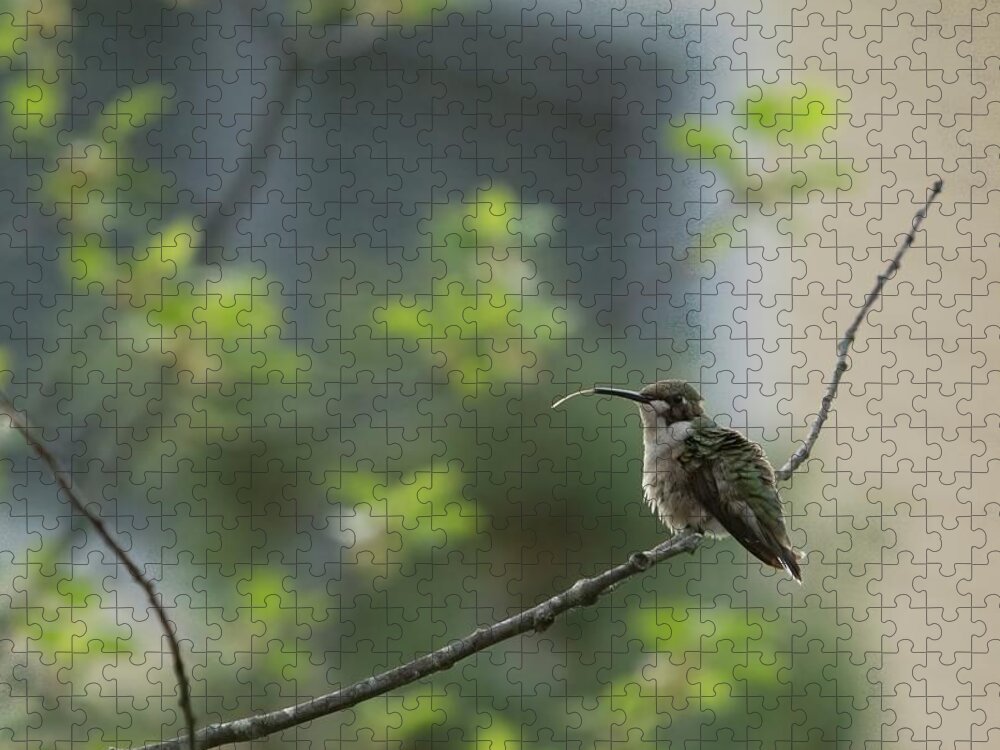 America Jigsaw Puzzle featuring the photograph Cheeky Hummingbird by Jeff Folger