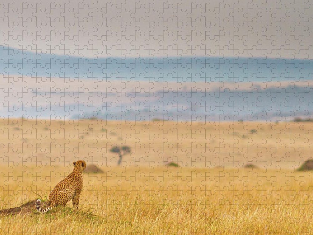 Kenya Jigsaw Puzzle featuring the photograph Cheetah On Grass Mound by Mark Ellison Photography
