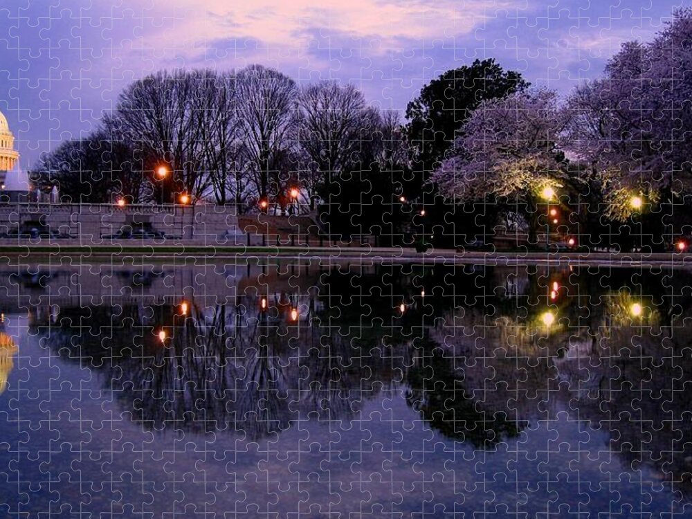 Outdoors Jigsaw Puzzle featuring the photograph Cherry Blossom At Capitol Hill by Patrick Yuen