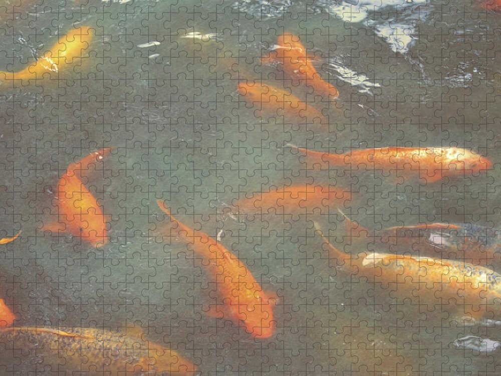 Bird Jigsaw Puzzle featuring the photograph China Carp by JAMART Photography