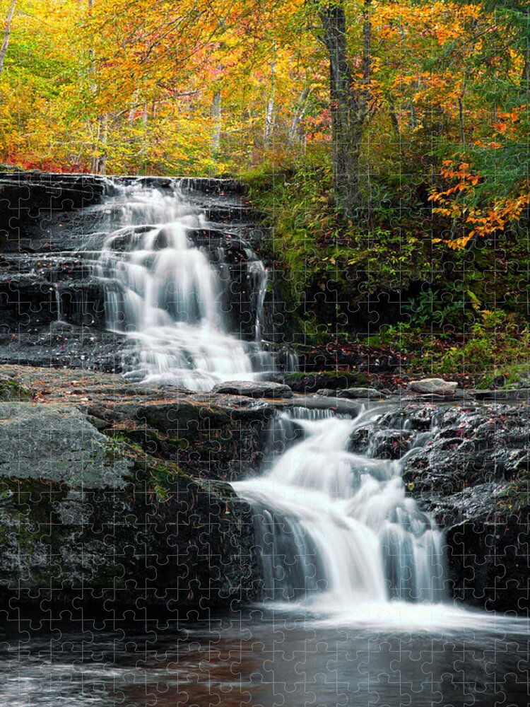 Allegheny Jigsaw Puzzle featuring the photograph Choke Creek Falls by Michael Gadomski