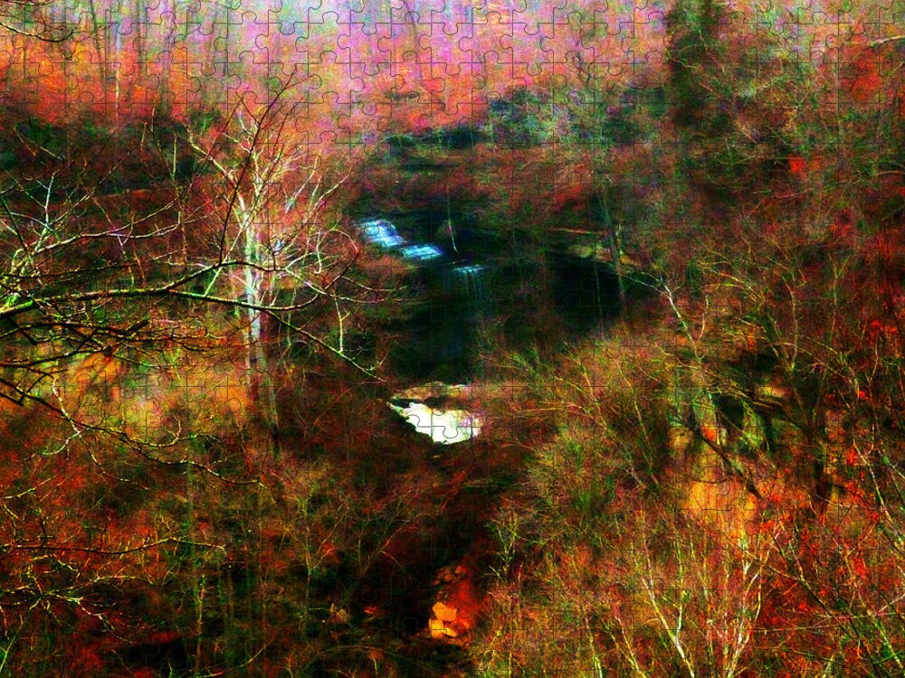 Abstract Jigsaw Puzzle featuring the photograph Clifty Falls Abstract Impressionism by Mike McBrayer