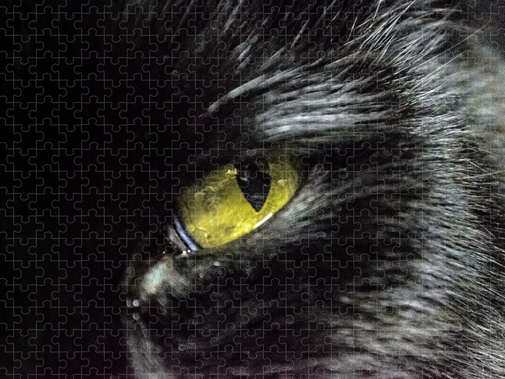 Transfer Print Jigsaw Puzzle featuring the photograph Close-up Of A Cats Yellow Eye by Aleksi Suuronen