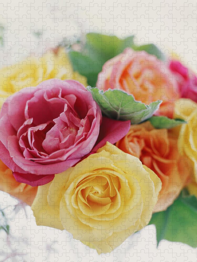 Bouquet Jigsaw Puzzle featuring the photograph Close Up Of Pink, Yellow And Peach by Victoria Pearson