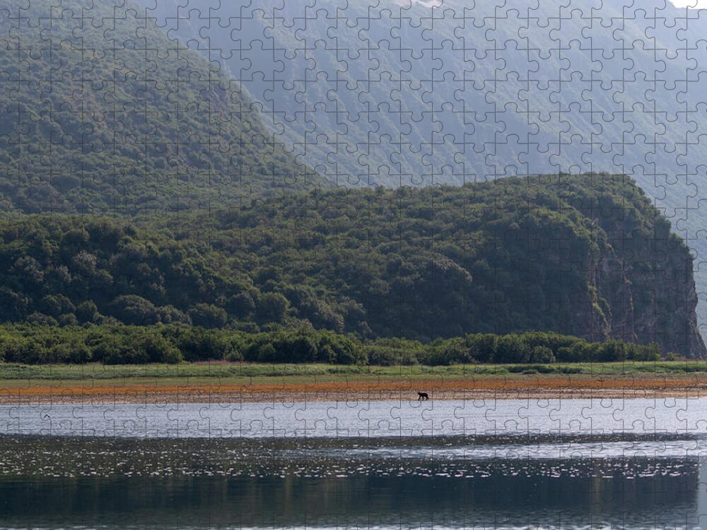 Bear Jigsaw Puzzle featuring the photograph Coastal Brown Bear on a Distant Shore by Mark Hunter