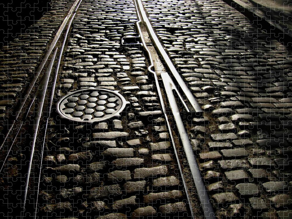 Intertwined Jigsaw Puzzle featuring the photograph Cobblestones In Railway Track, New York by © Rick Elkins