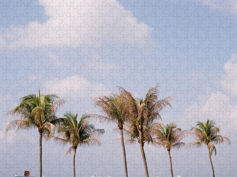 Outdoors Jigsaw Puzzle featuring the photograph Coconut Trees At Beach by Genkigenki