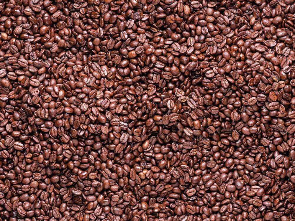 Coffee Jigsaw Puzzle featuring the photograph Coffee Beans by Steve Gadomski
