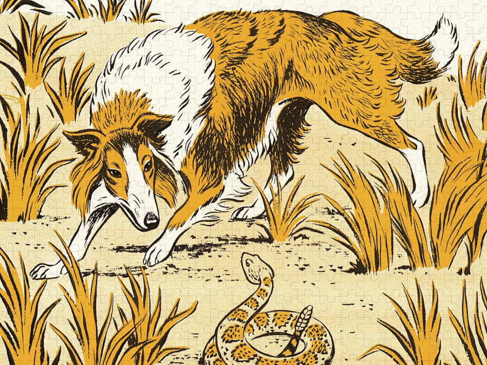 Animal Jigsaw Puzzle featuring the drawing Collie Dog and Snake by CSA Images