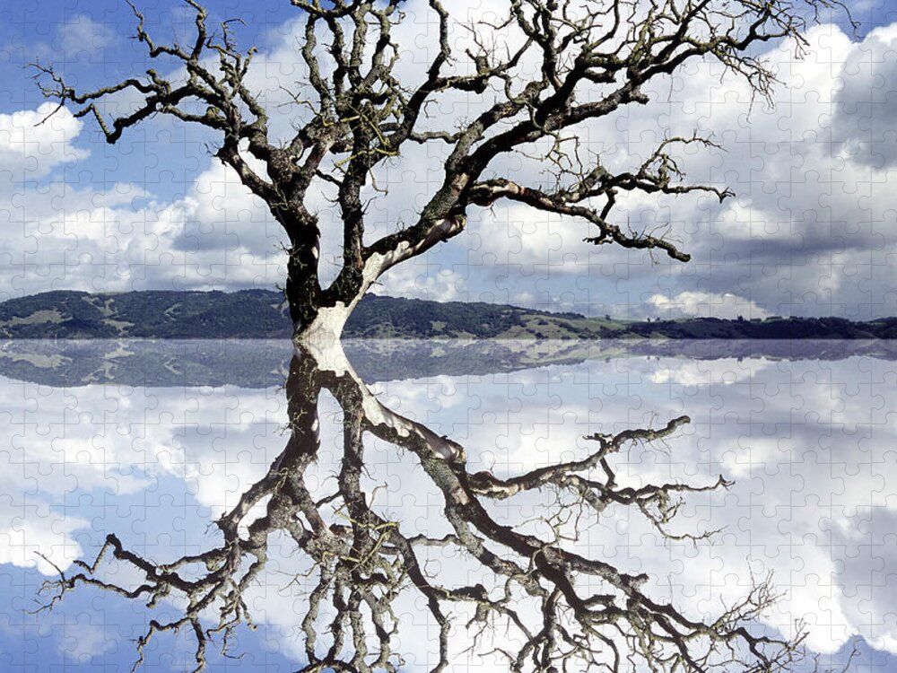 Outdoors Jigsaw Puzzle featuring the photograph Color Dead Tree Reflected As Though In by Diane Miller