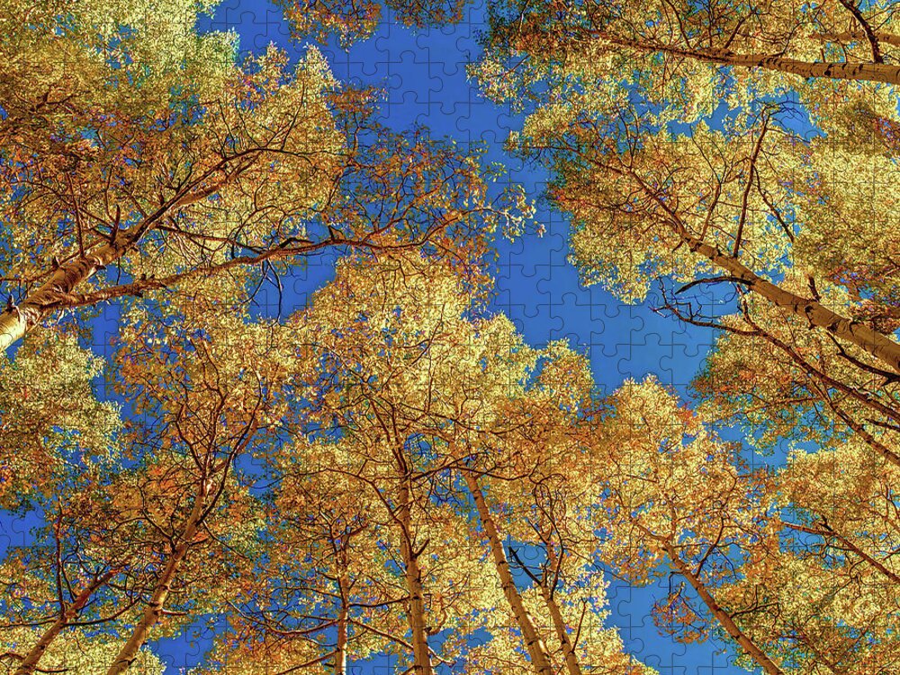 Colorado Jigsaw Puzzle featuring the photograph Colorado Autumn Sky by Lena Owens - OLena Art Vibrant Palette Knife and Graphic Design