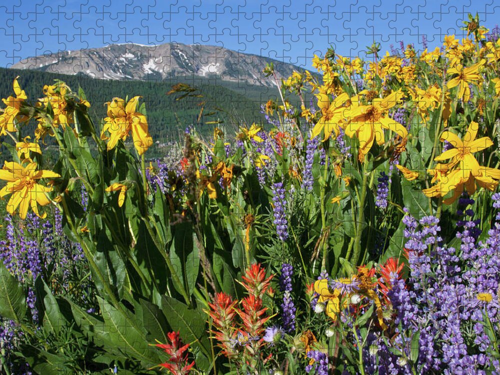 Colorado Jigsaw Puzzle featuring the photograph Colorado Rainbow of Wildflowers Landscape by Cascade Colors