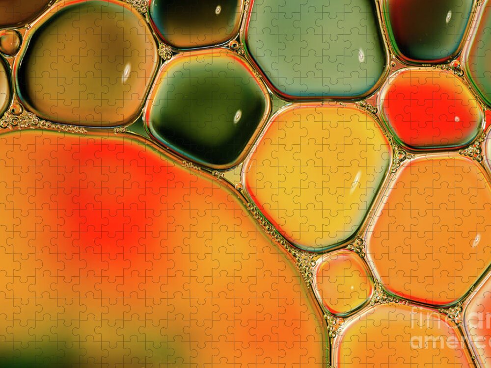 Oil Painting Jigsaw Puzzle featuring the photograph Colorful Abstraction Shot Of Oil And by Laurens Kaldeway