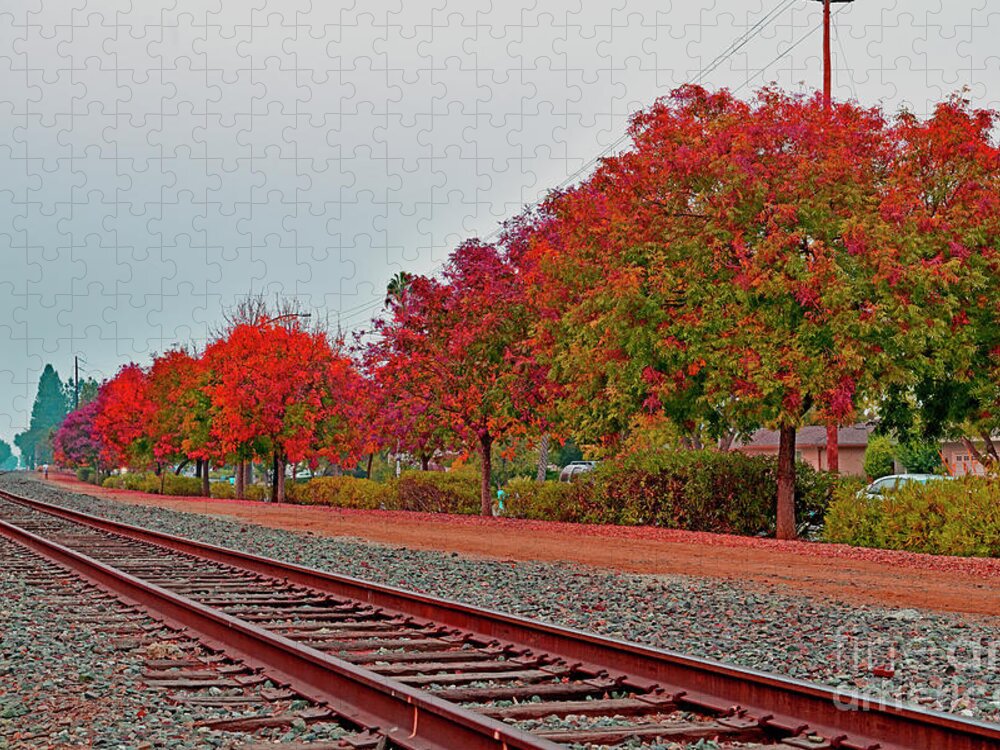 Fall Jigsaw Puzzle featuring the photograph Colorful Fall along the Railroad, Cupertino by Amazing Action Photo Video