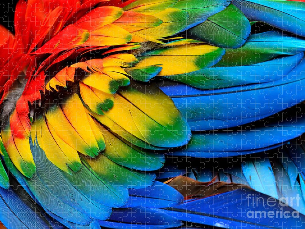 Feather Jigsaw Puzzle featuring the photograph Colorful Of Scarlet Macaw Birds by Super Prin