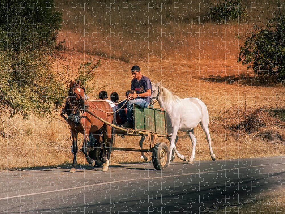 Come Back Home Jigsaw Puzzle featuring the photograph Come back home before dusk by Micah Offman