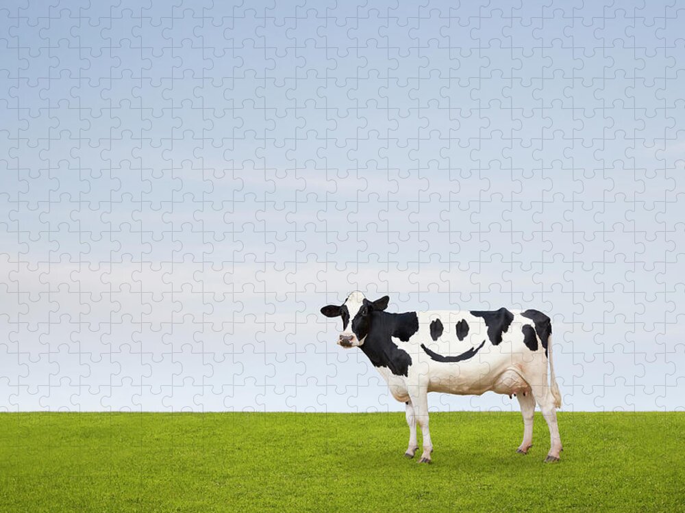 Working Jigsaw Puzzle featuring the photograph Contented Cow by John Lund
