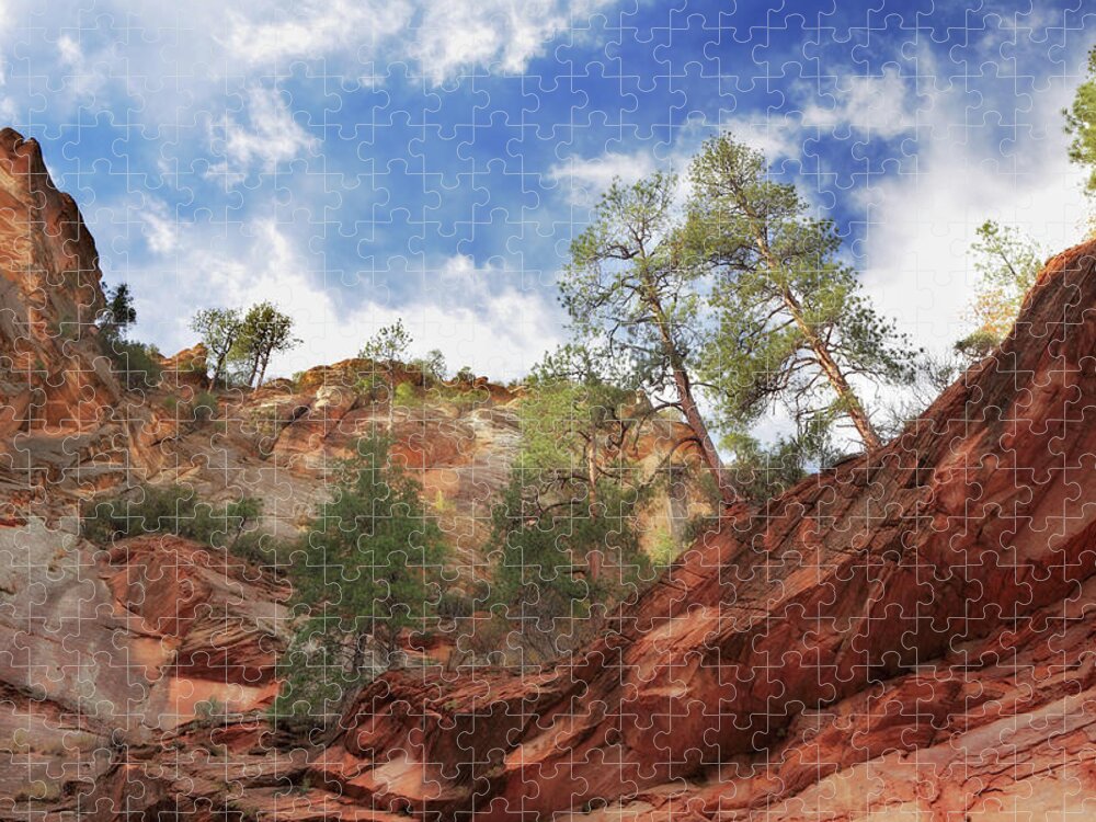 Arizona Jigsaw Puzzle featuring the photograph Corner Canyon Sedona Arizona by Dustypixel