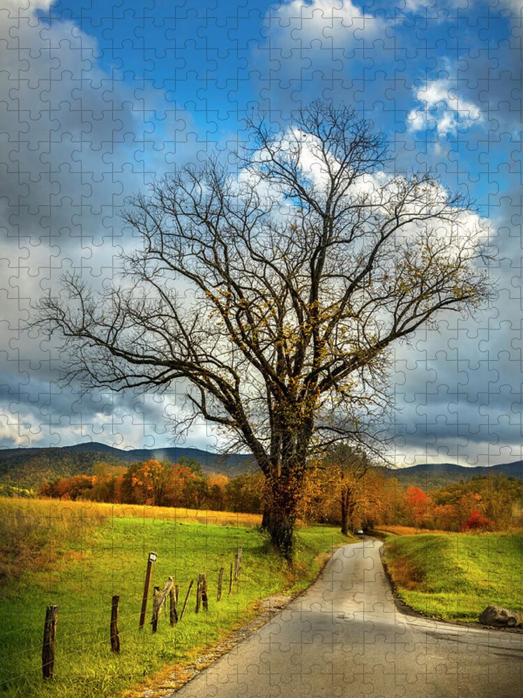Appalachia Jigsaw Puzzle featuring the photograph Country Road into Autumn by Debra and Dave Vanderlaan