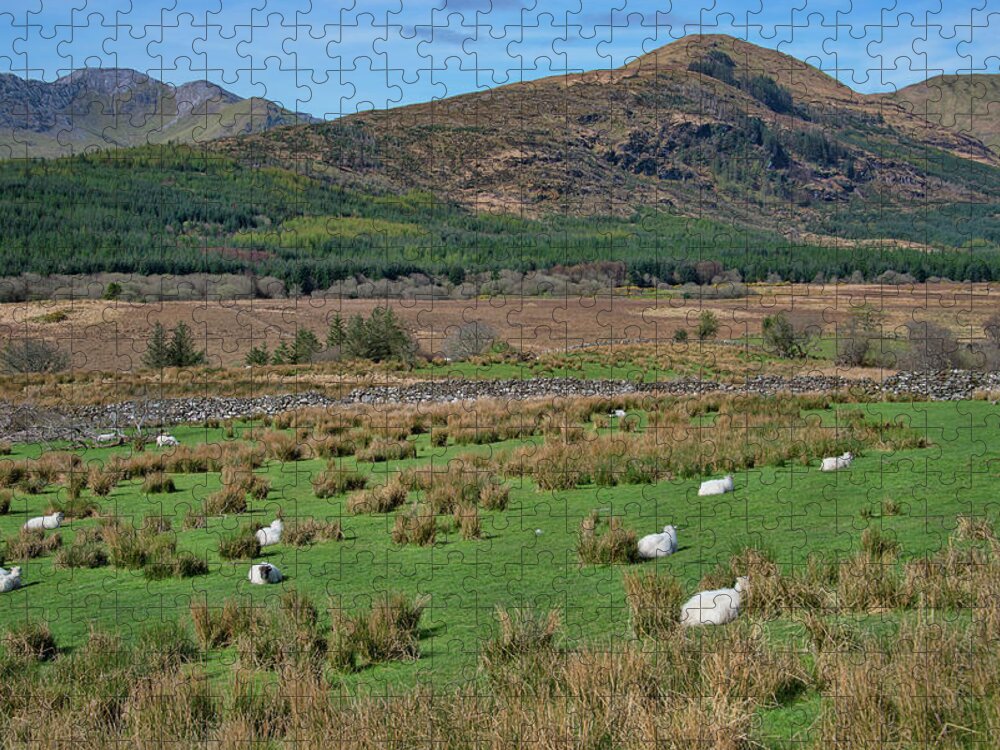 County Mayo Ireland Jigsaw Puzzle featuring the photograph County Mayo Ireland by Curt Rush