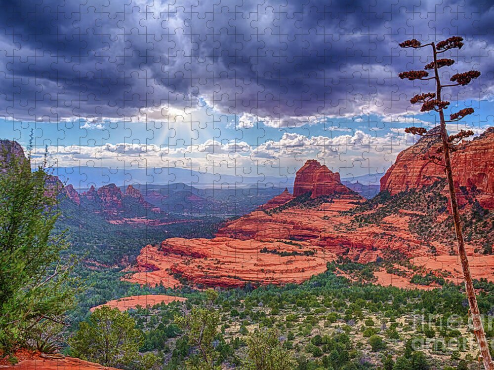 Cowpie Formation Jigsaw Puzzle featuring the photograph Cowpie Formation by Priscilla Burgers