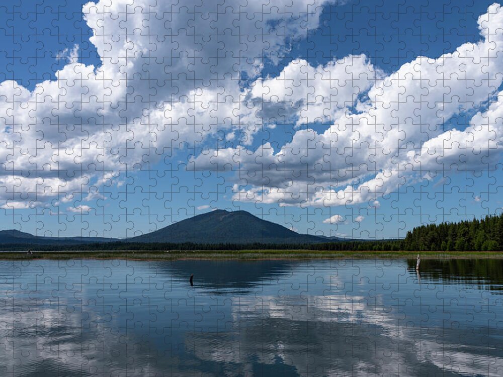 Oregon Jigsaw Puzzle featuring the photograph Crane Prairie Reflections by Steven Clark