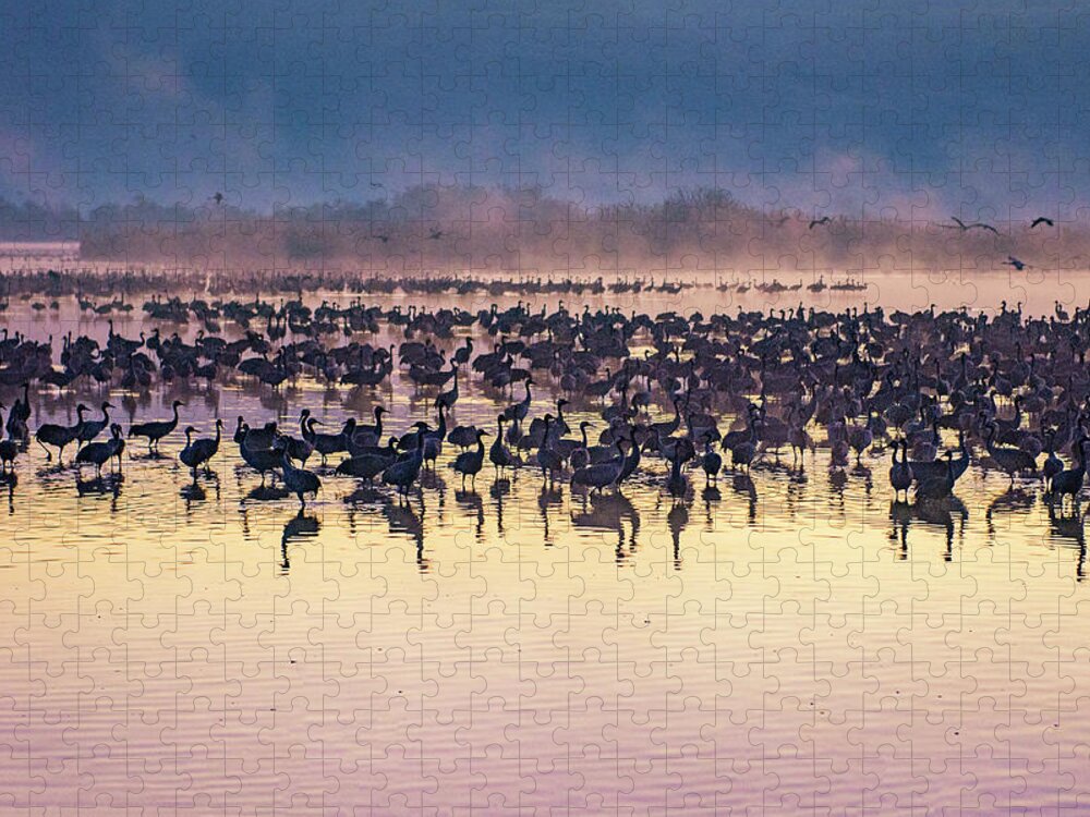 Art Jigsaw Puzzle featuring the photograph Cranes at dawn by Liran Eisenberg