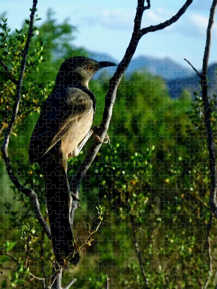 Affordable Jigsaw Puzzle featuring the photograph Curve-Billed Thrasher on Creosote by Judy Kennedy