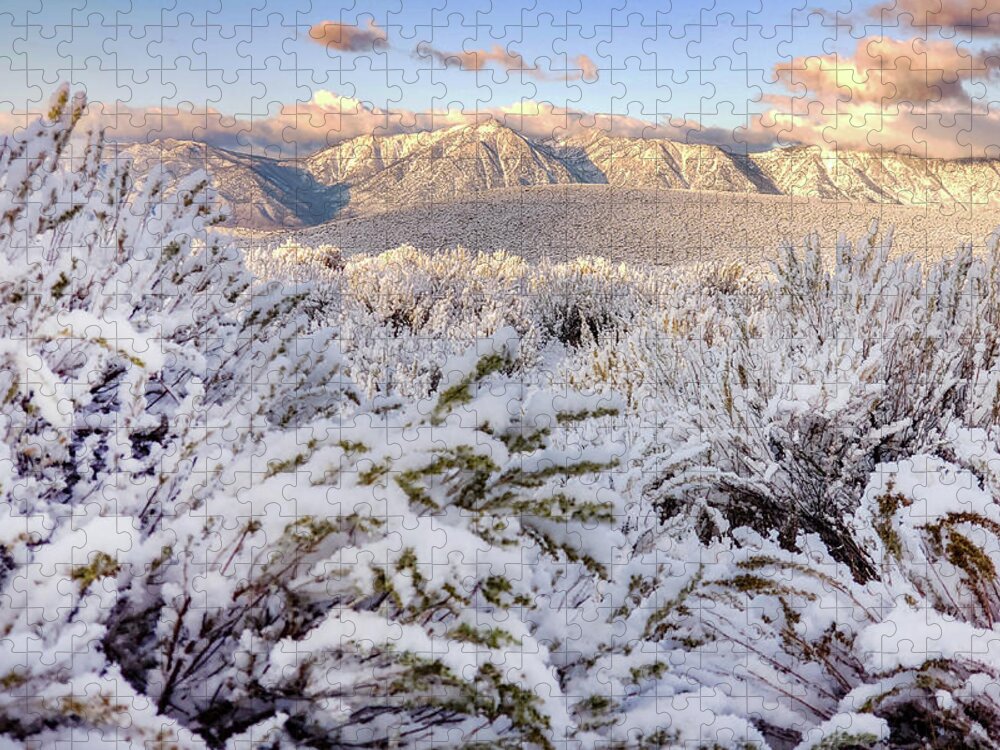  Jigsaw Puzzle featuring the photograph Cvnvp10 by John T Humphrey