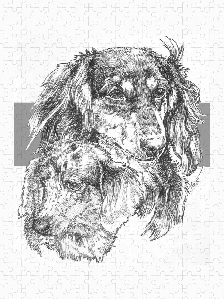 Hound Group Jigsaw Puzzle featuring the drawing Dachshund - Long-hair and Pup by Barbara Keith