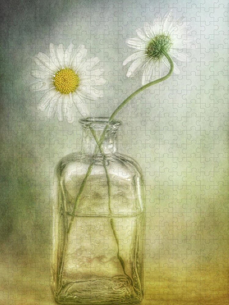 Fragility Jigsaw Puzzle featuring the photograph Daisies by Mandy Disher Photography