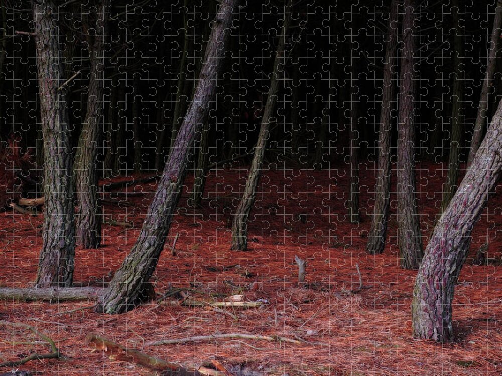 Horror Jigsaw Puzzle featuring the photograph Dark Forest 1 by Flashworks