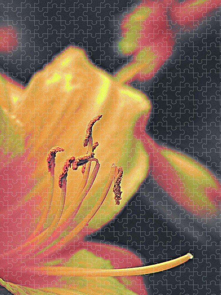 Floral Jigsaw Puzzle featuring the photograph Day Lilly by Bearj B Photo Art