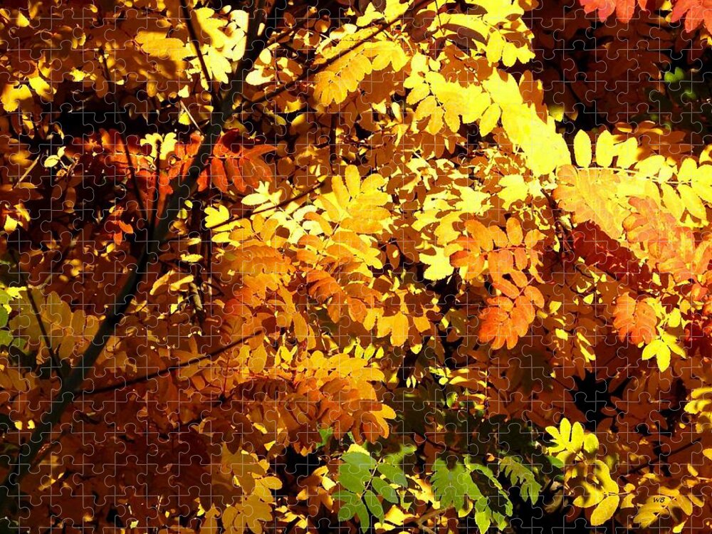 Mountain Ash Jigsaw Puzzle featuring the digital art Days Of Autumn 12 by Will Borden