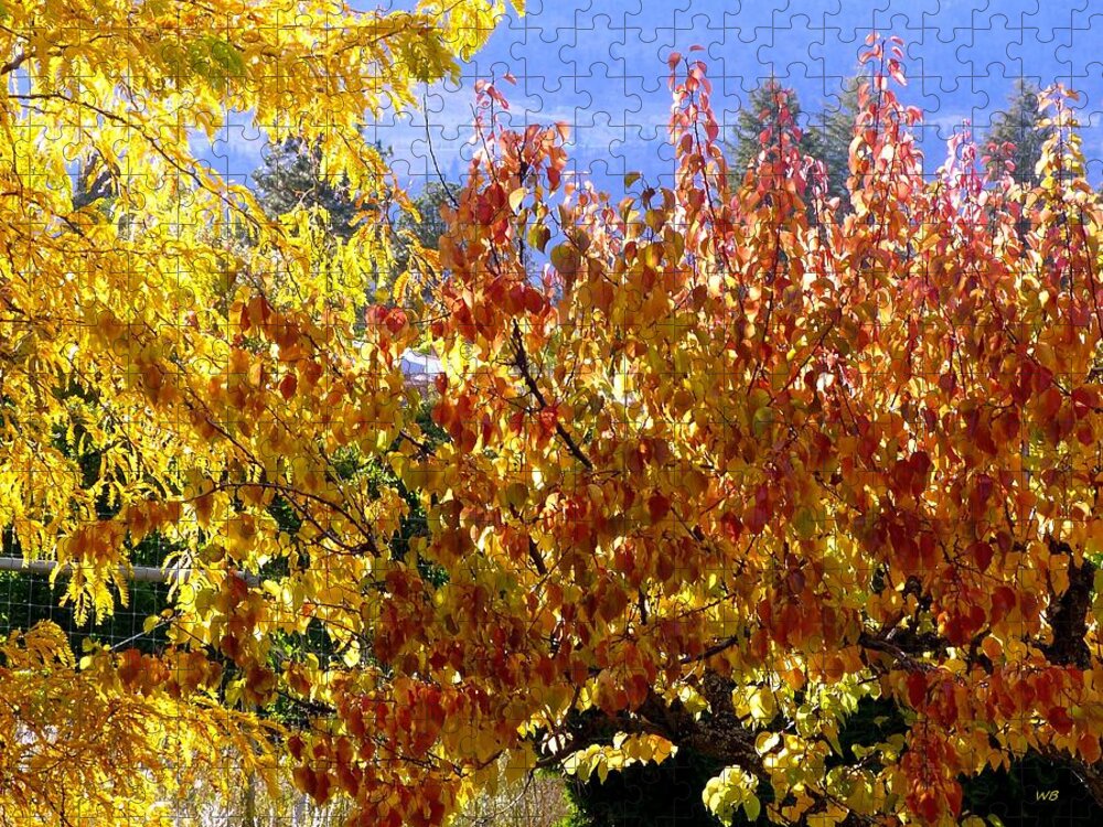Fall Jigsaw Puzzle featuring the photograph Days Of Autumn 30 by Will Borden