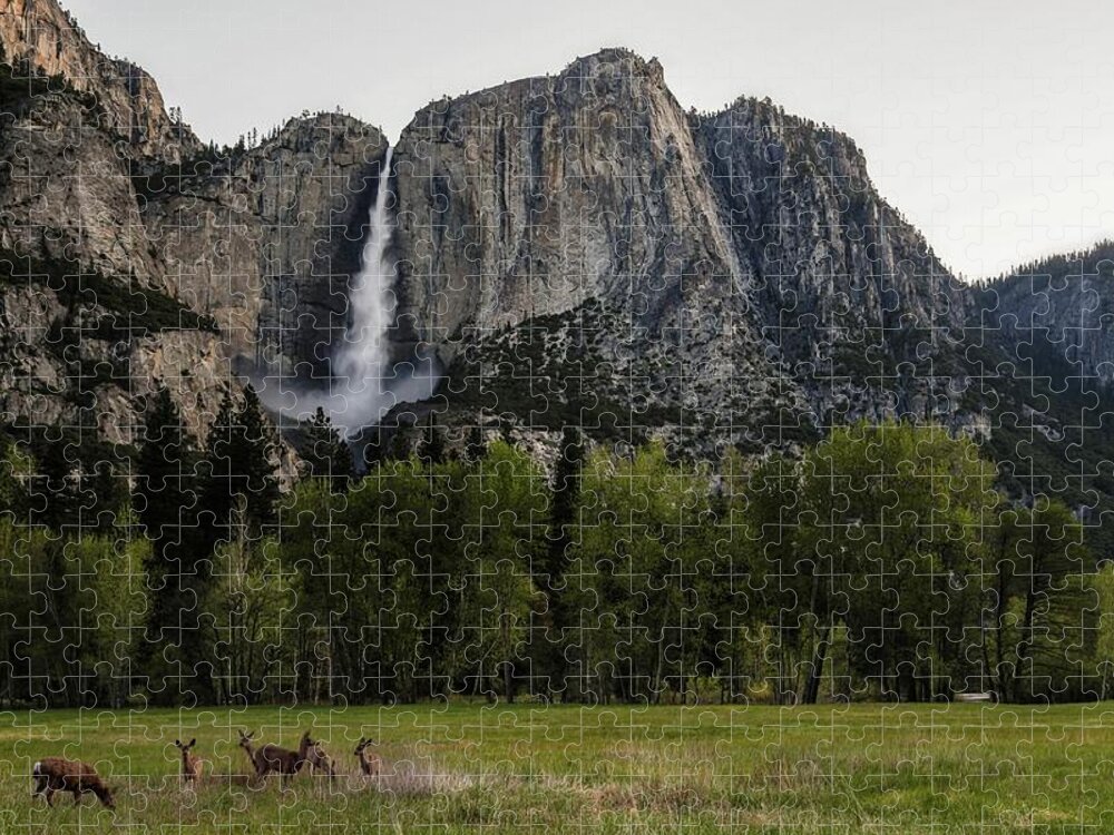 Animal Themes Jigsaw Puzzle featuring the photograph Deer In Front Of Upper Yosemite Falls by Photograph By Tony Van Le