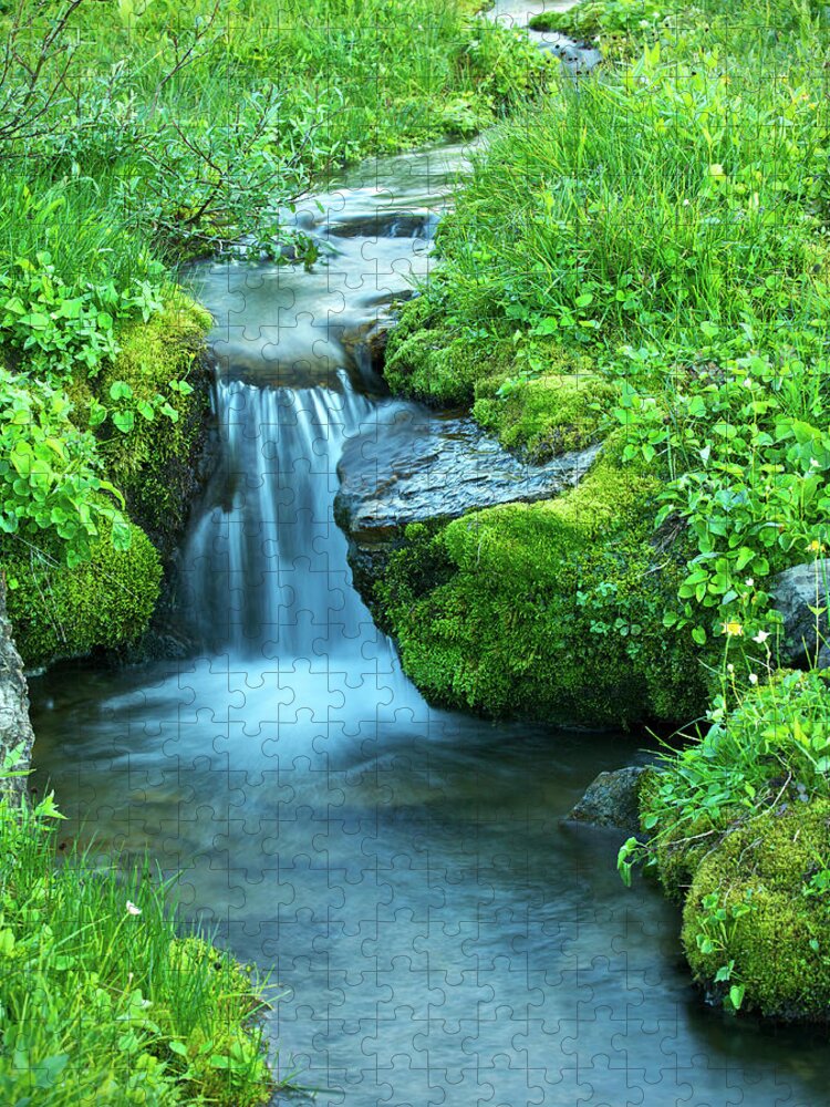 Grass Jigsaw Puzzle featuring the photograph Delicate Alpine Stream by Phototropic