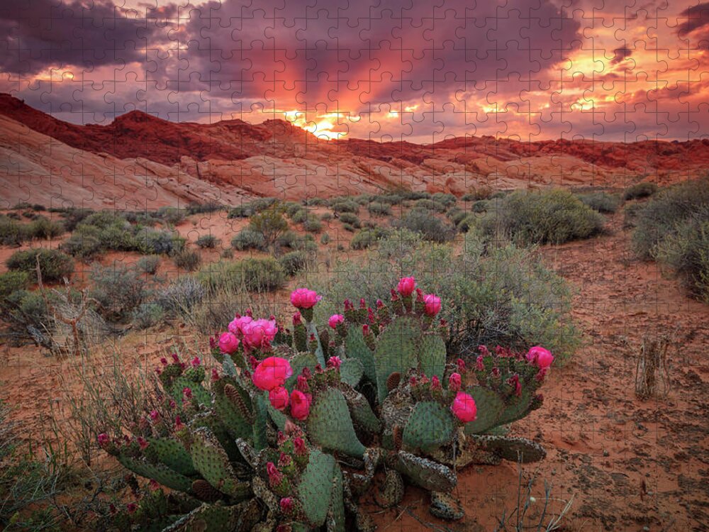 Desert Jigsaw Puzzle featuring the photograph Desert Dusk Rays by Wasatch Light