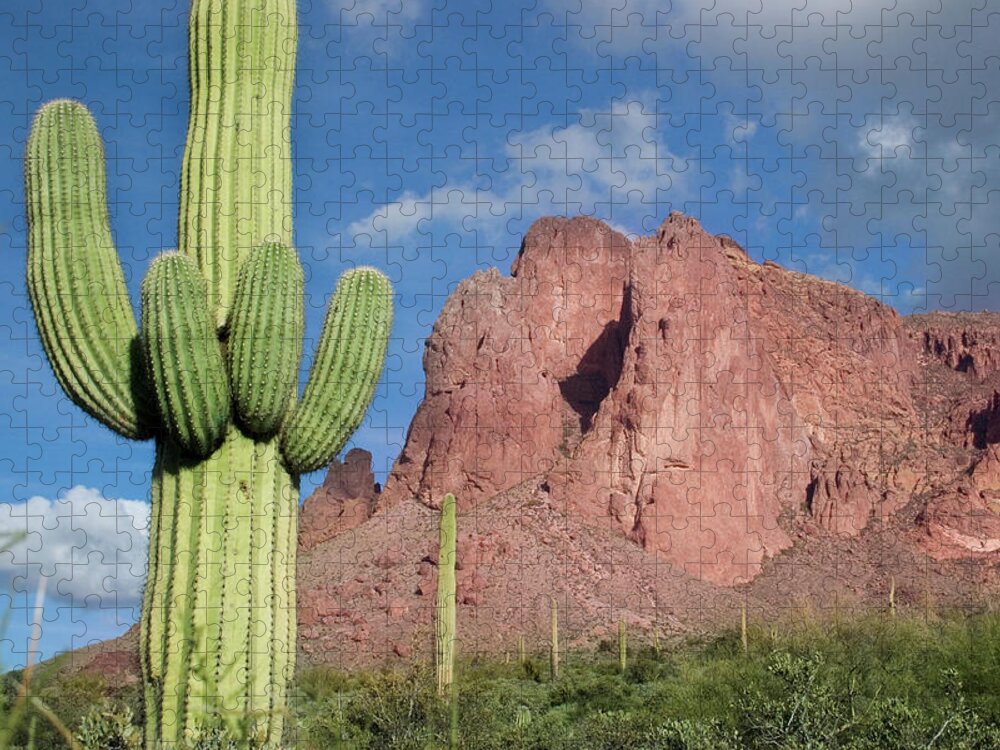 Scenics Jigsaw Puzzle featuring the photograph Desert Mountain Landscape by Vlynder
