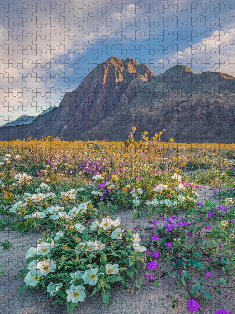 00568193 Jigsaw Puzzle featuring the photograph Desert Sand Verbena, Desert Sunflower, And Desert Lily Spring Bloom, Anza-borrego Desert State Park, California by Tim Fitzharris