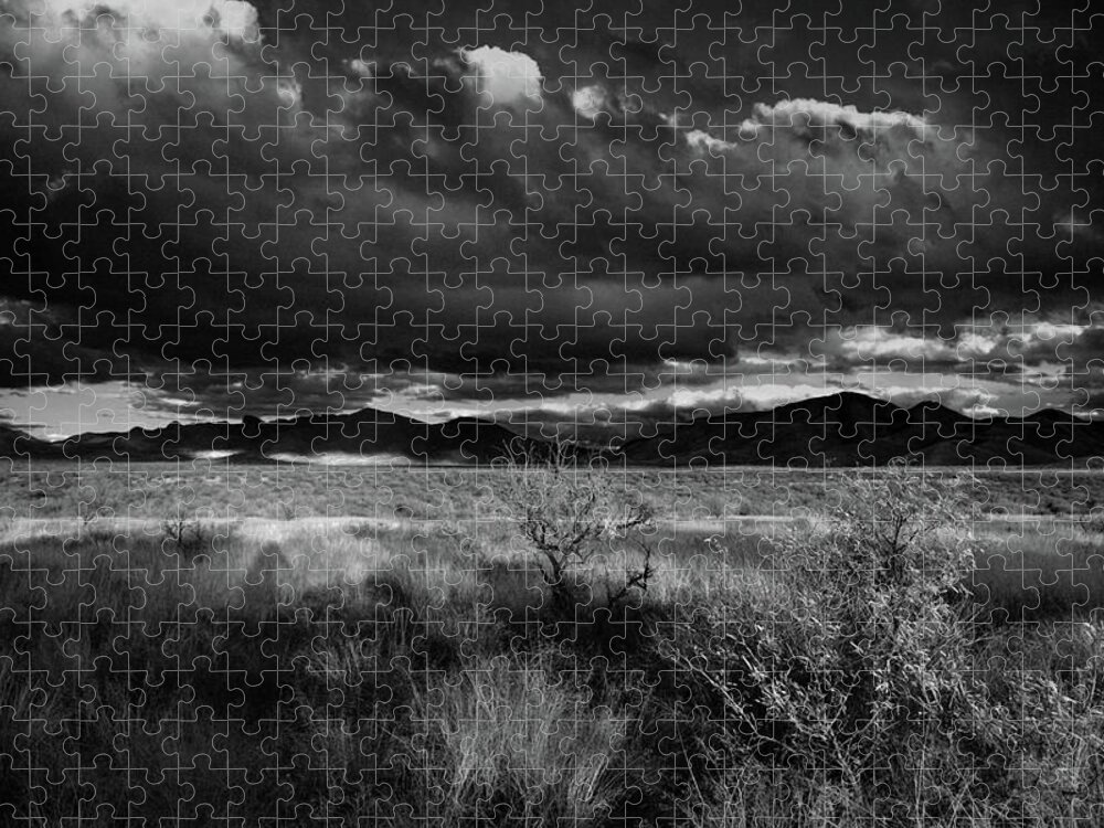 Arizona Jigsaw Puzzle featuring the photograph Arizona Desert Black and White by Chance Kafka