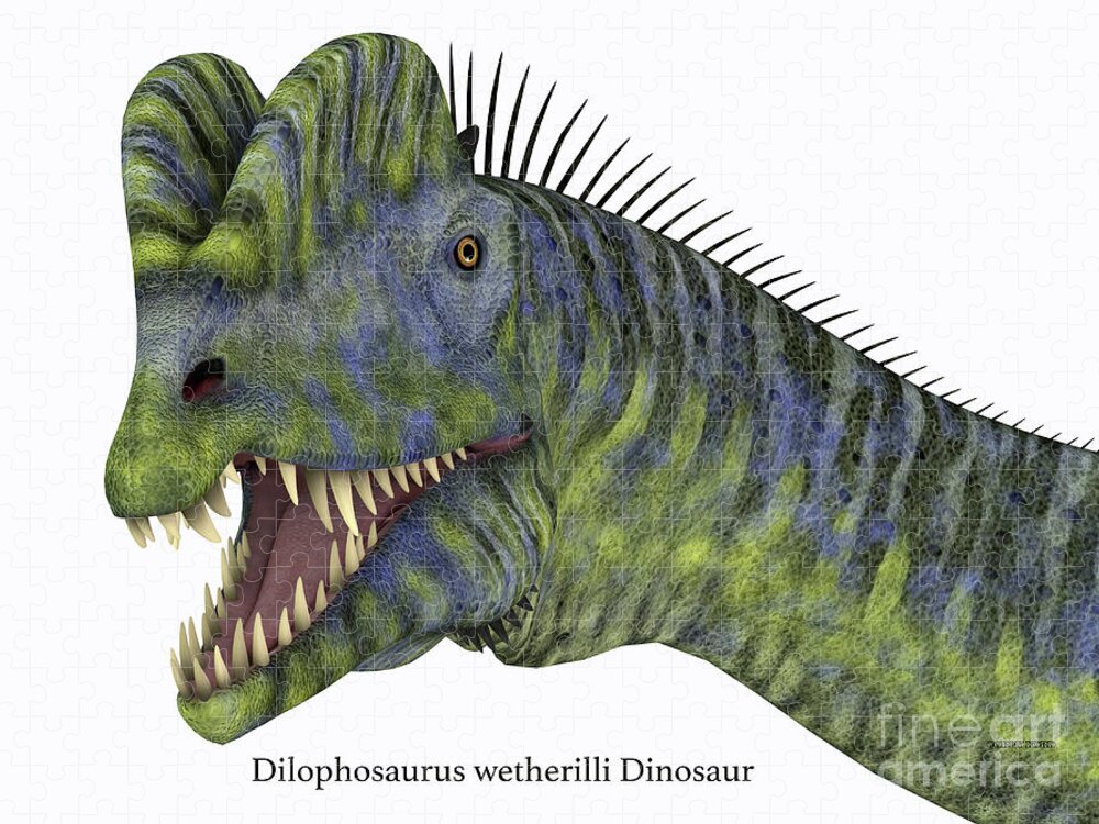 Dilophosaurus Dinosaur Art Print