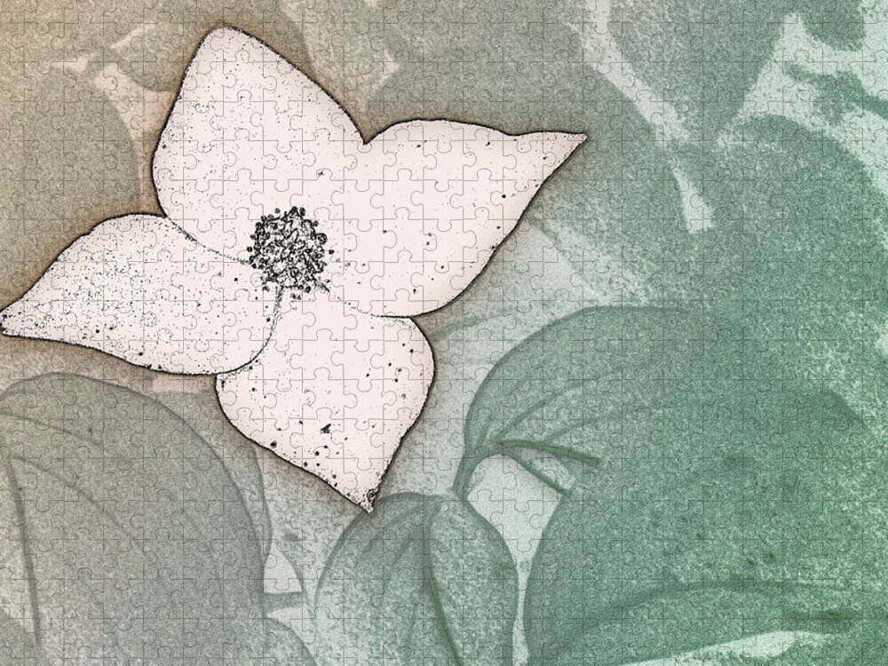 Kousa Jigsaw Puzzle featuring the digital art Dogwood Flower Stencil on Sandstone by Jason Fink