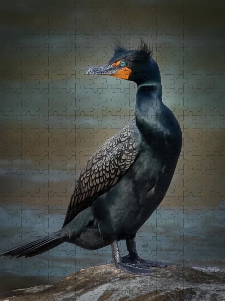 Double-crested Cormorant Jigsaw Puzzle featuring the photograph Double-crested Cormorant by C Renee Martin