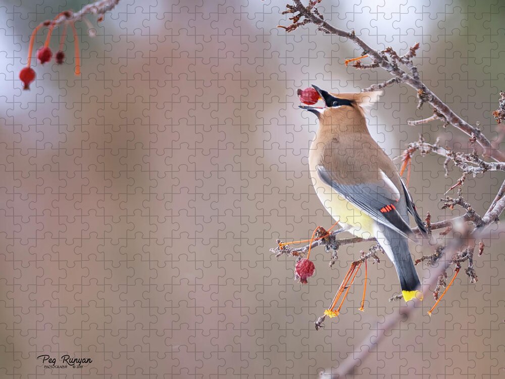 Bird Jigsaw Puzzle featuring the photograph Down the Hatch by Peg Runyan