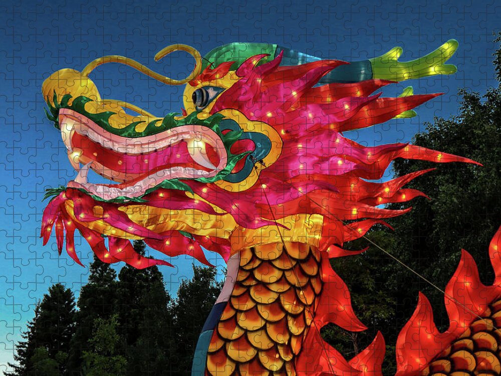 Dragon Jigsaw Puzzle featuring the photograph Dragon by Ron Roberts