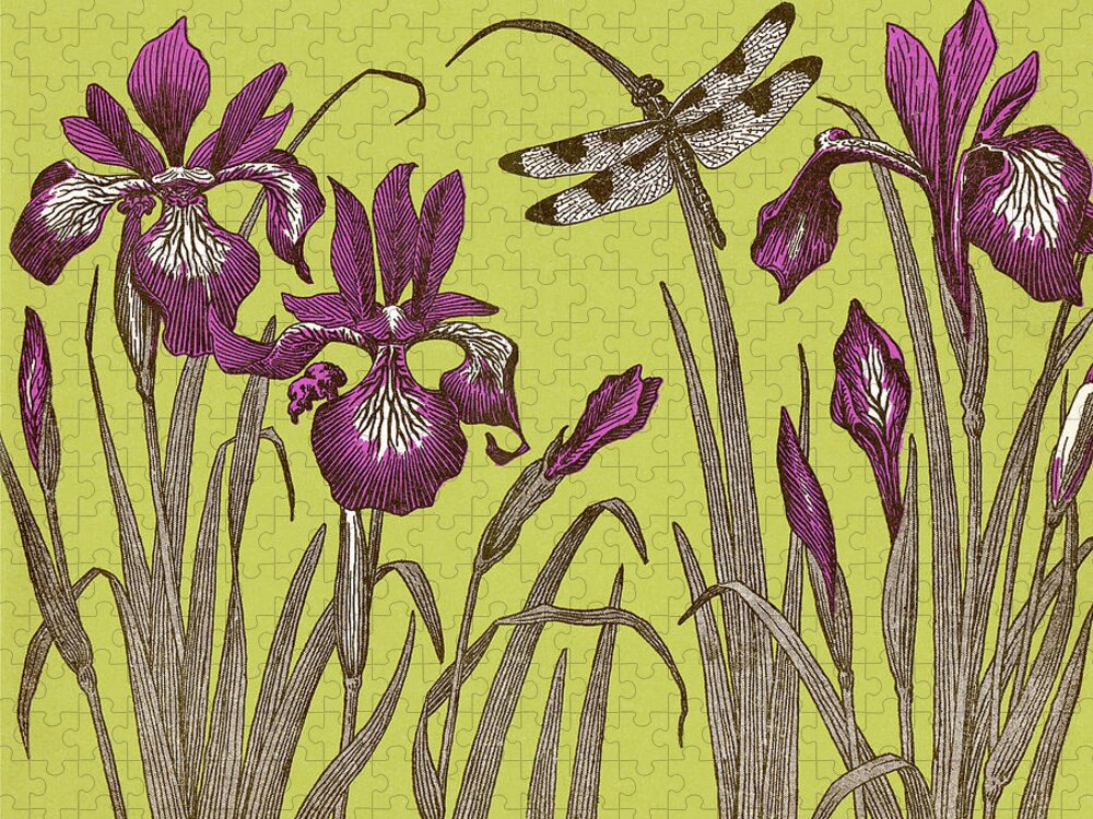 Bloom Jigsaw Puzzle featuring the drawing Dragonfly and Iris Flowers by CSA Images