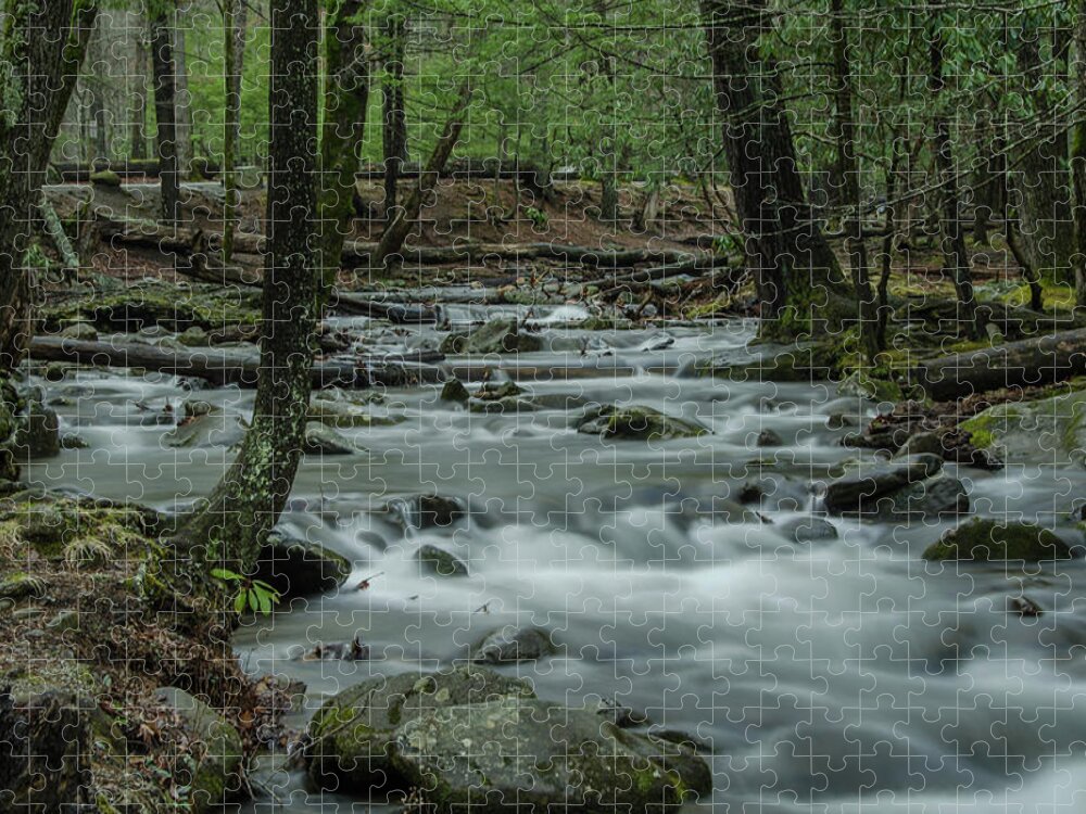 Abrams Creek Jigsaw Puzzle featuring the photograph Dreams of Abrams Creek by Douglas Wielfaert