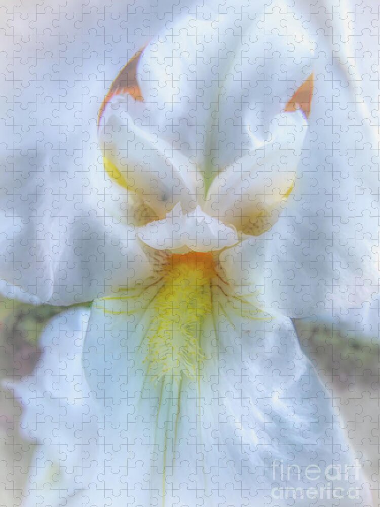 White Jigsaw Puzzle featuring the photograph Dreamy White Iris by Amy Dundon