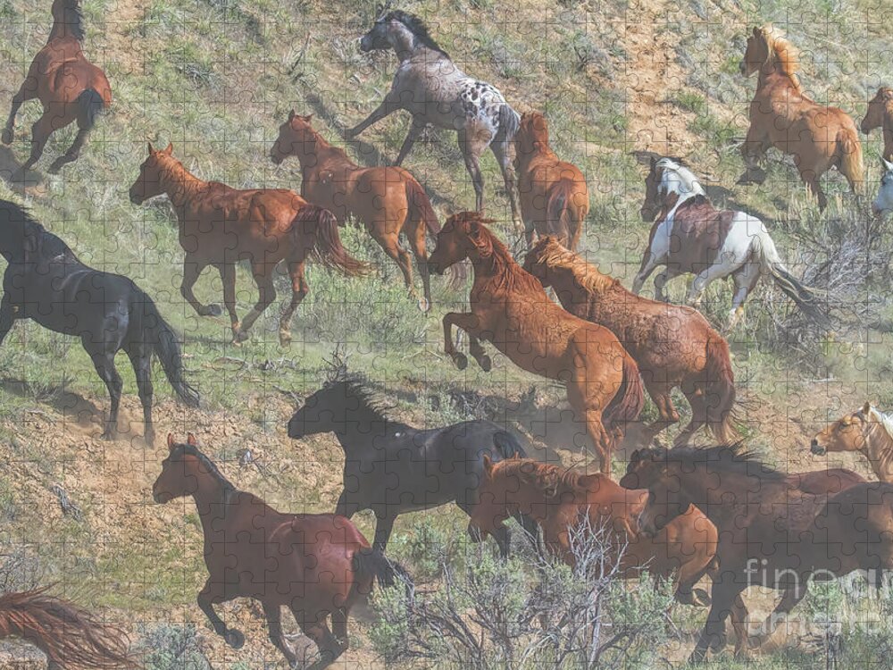 Running Horses Jigsaw Puzzle featuring the photograph Dust in the Wind by Jim Garrison